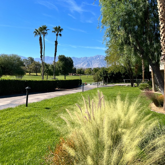 Meet your Posher, L - Picture 2 of 2